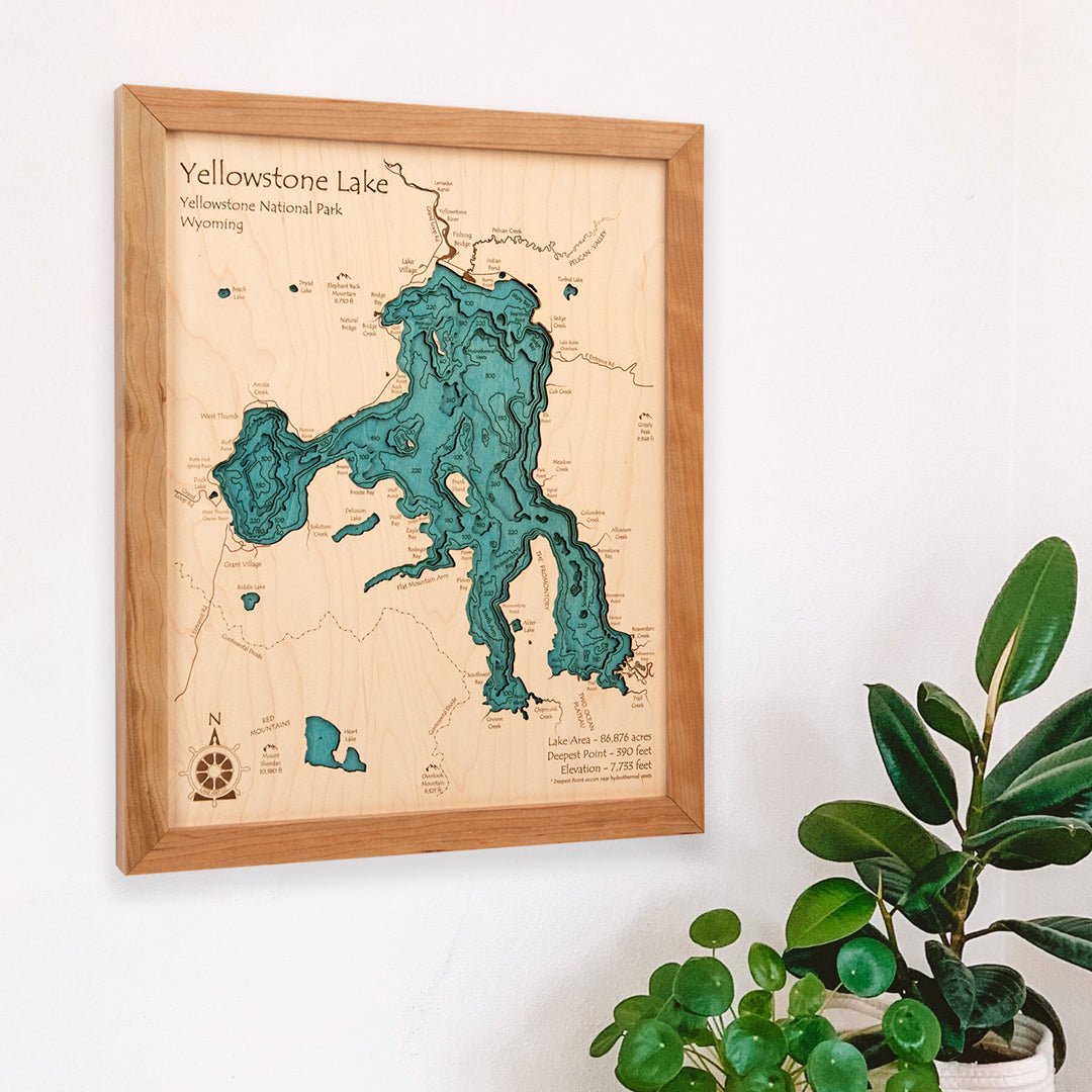 14x18 | Framed Map