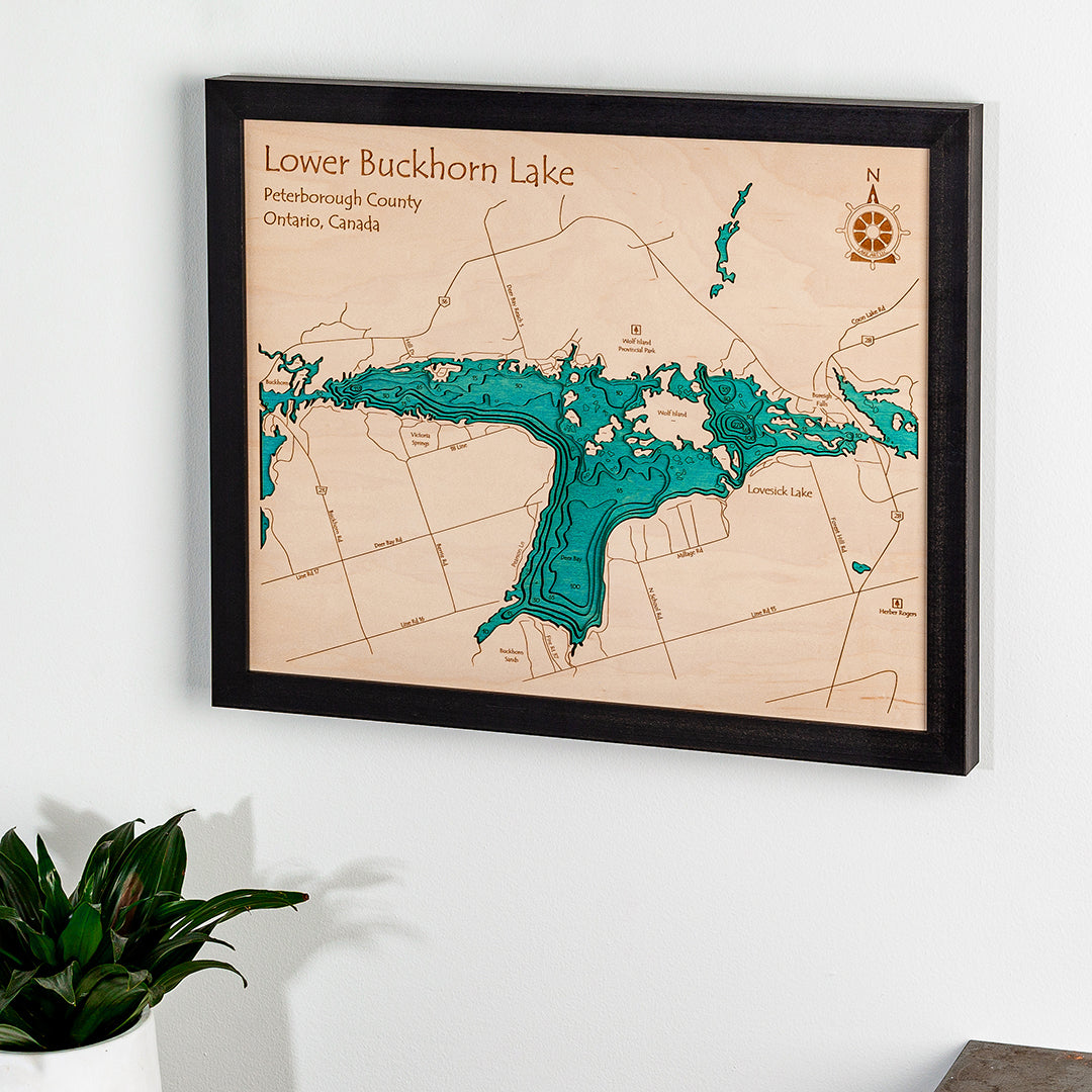 16x20 | Framed Map