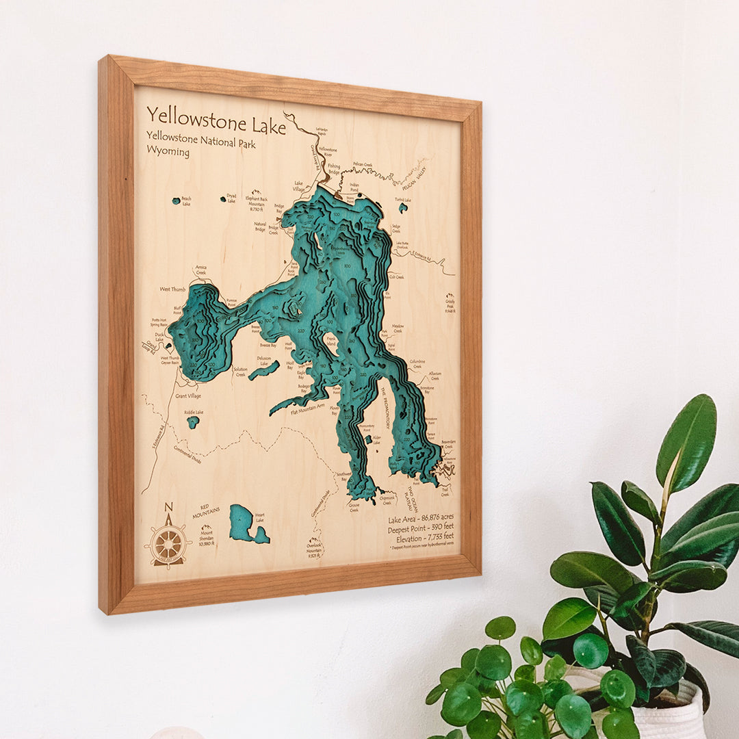 16x20 | Framed Map